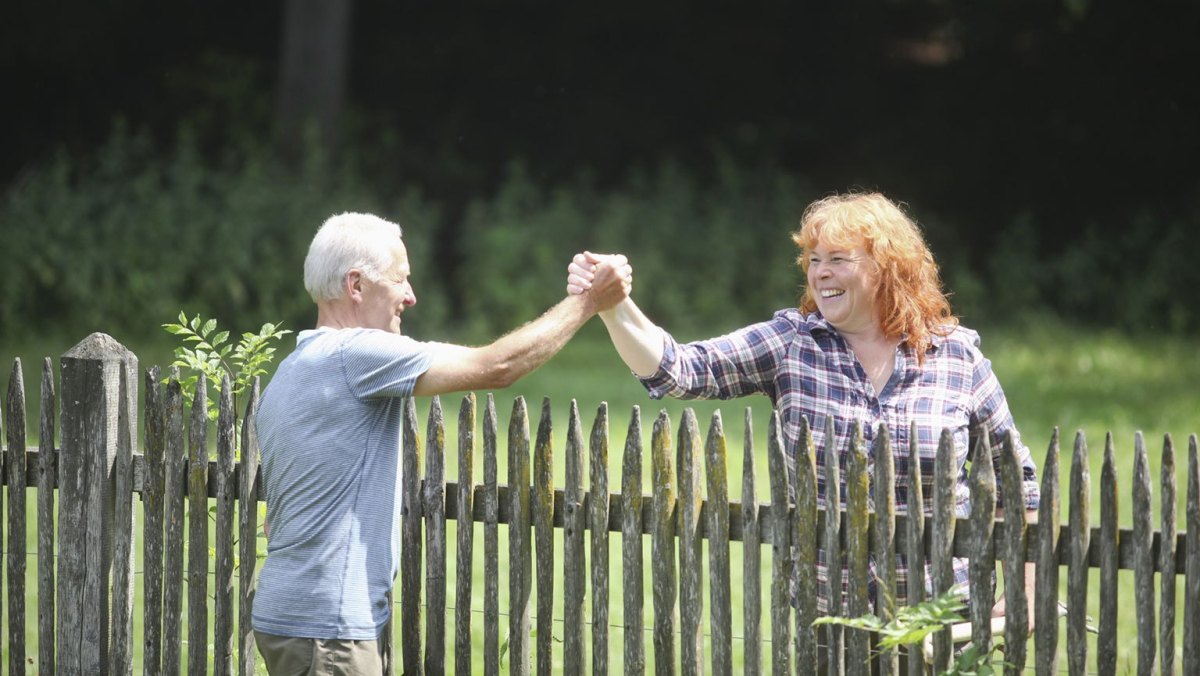 Какой забор можно ставить между соседями